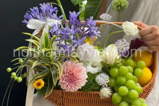 Giỏ Mây – Điểm Nhấn Trang Trí & Quà Tặng Ý Nghĩa